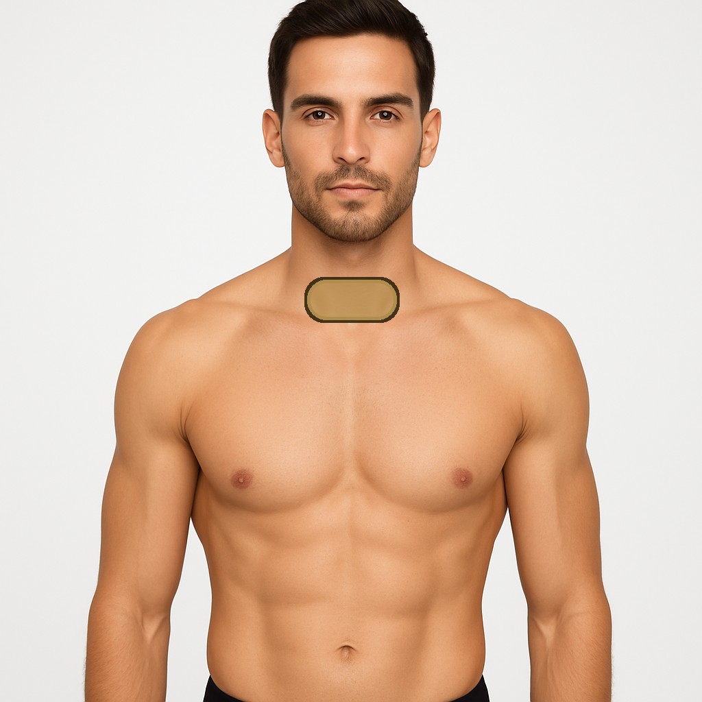 Cuello Anterior